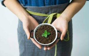 Circulaire koplopers