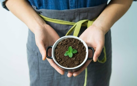 Circulaire koplopers